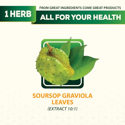 DEDICAD 1500Mg Soursop Tea Bags - 50 Bags, 1.5gr/bag Pure Soursop Graviola Leaves Tea Bags, Pleasant Taste Natural Flavor Gluten & Caffeine Free - Support Rest well, Digestion Health, Healthy Skin