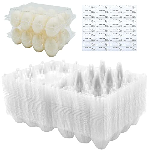 BULKBUY Clear Plastic Clamshell, 40 Pack