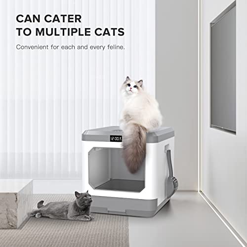 Smart Odor Removal Cat Litter Box, Large Litter Box With Deodorizing Device For Multiple Cats,Non Leaking Kitty Litter Box, Enclosed Odor Control Cat Box With Scoop&Mat #TOP5