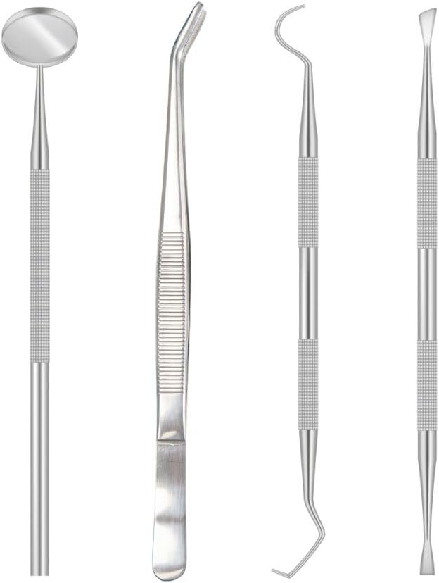 Plaque Remover for Teeth, Dental Care Kit for Plaque Removal