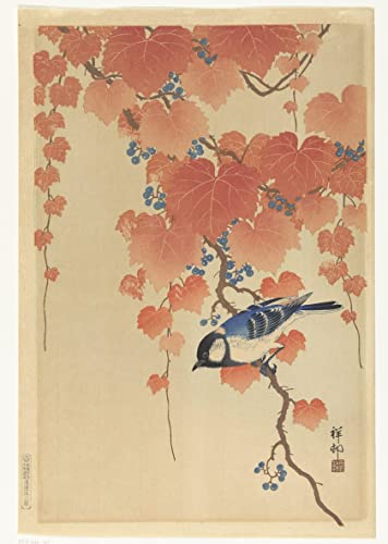 Poster carpe SERENDIPITP Ohara toile sans cadre 50x70 cm