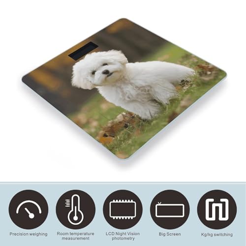 Báscula digital de baño con vidrio templado y pantalla LCD miniatura 3