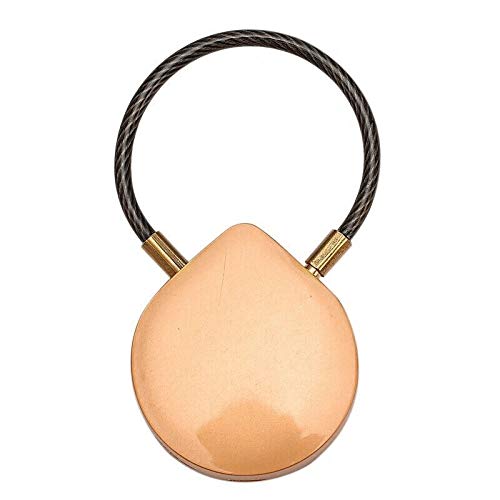 Verrou d'empreinte digitale USB anti-vol intelligent pour sac de voyage