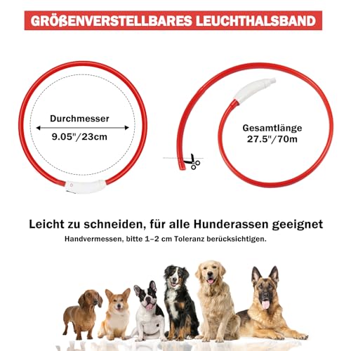 Nepfaivy Leuchthalsband Hund USB Aufladbar - Wasserdichtes Hundehalsband Leuchtend mit Verstellbarer Länge, LED Halsband für Hunde mit 4 Beleuchtungsmodi für Sicherheit, Rot