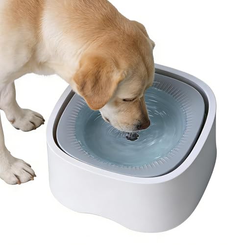 ���p������ ����~�߃x�[�X�t�� ���͂˖h�~�M �y�b�g�p ? sturdy compact �����{�E��, elegant, �q���E���^���E��^���p �ƒ�p, ���s�p �����O�Ή� �L�����v�ɂ�, Multipurpose Everyday Utility | 