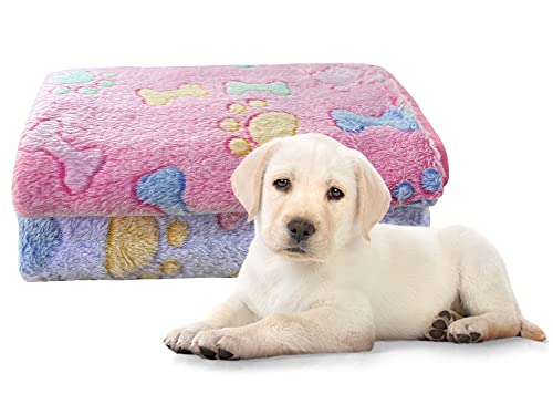 Dodheg 2 Pcs Pet Blanket,Small Animal Plush Bed, Pet Warm Sleep Mat, Suitable For Small And Large Pets, 23.6 X 15.7 Inches #TOP4