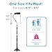 Nova Joy Designer Offset Quad Cane for Seniors - Unisex Adjustable Lightweight Walking Aid with Foam Handle, Wrist Strap and Anti-Rattle Lock - Essential Mobility Support - Proud Peacock