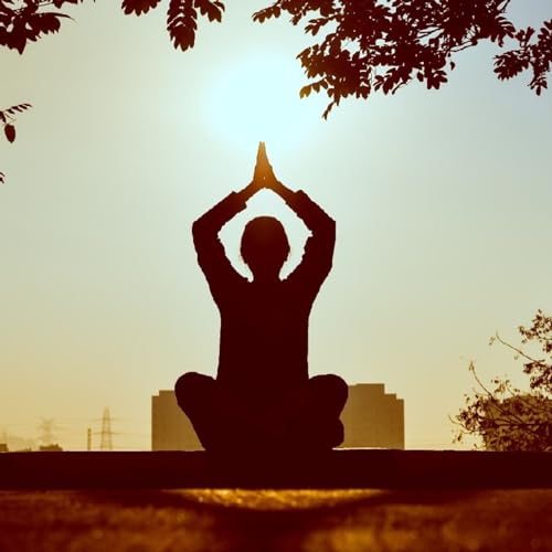What is meditation. Meditation ela cheyali enduku cheyali ane vishayala gurinchi telusukundam.