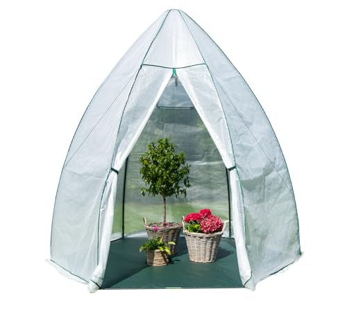 WESTMANN Überwinterungszelt Avocado | 250x250x250 cm | Pflanzenschutz & Foliengewächshaus zum Überwintern von Pflanzen