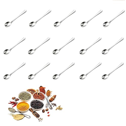 15-Pack Mini Spoons for Salt and Spices - Smooth Stainless Steel for Seasonings, Sugar, Honey - Perfect Kitchen Gift