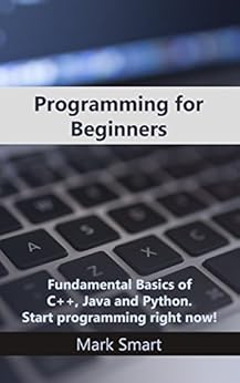 Programming for Beginners: Fundamental Basics of C++, Java and Python ...