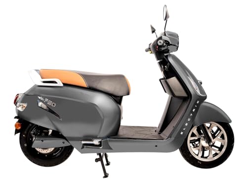 Image of eblu India's 1st Family e Scooter - Feo - Typical Driving Range 110km per charge - Top speed 60 kmph, Xtra - LEG ROOM | COMFORT | SAFETY | STABILITY (Telegrey)