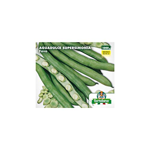 FAVA AGUADULCE SUPERAGUADULCE (MAROCCO) KG. 1