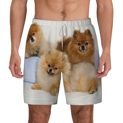Short de bain pour homme EdWal avec doublure confortable motif Poméranie