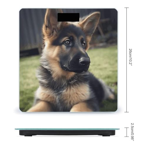 Báscula Digital para Peso Corporal con LCD y Vidrio Templado miniatura 2