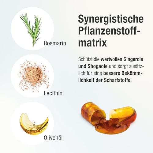 Stärkste Bio Ingwer Kapseln - 22.000mg Ingwerpulver pro Tagesdosis - höchste Gingerol & Shogaol Werte - 2 Kapseln Gingerin PLUS liefern den gleichen Ingwer Gehalt wie 33 andere Ingwertabletten