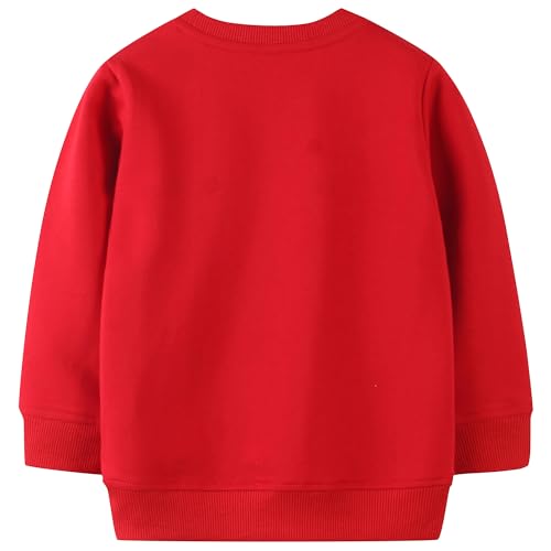 Image of AIWUHE Toddler Cotton Sweatshirt Boys Girls Pullover Long Sleeve Tops 2-6Y