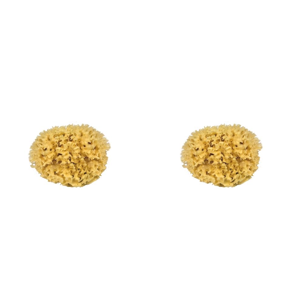 CROLL & DENECKE M130 Naturschwamm aus dem Mittelmeer, Mediumqualität, Größe 13 cm (Packung mit 2)