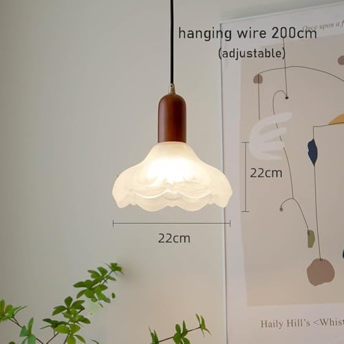 Lumières suspendues modernes d'îlot de cuisine pour éliminer l'ombre - 2