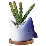 Design élégant en céramique : ce pot de fleurs en céramique a un look élégant et moderne, parfait pour mettre en valeur vos plantes succulentes, fleurs ou même cactus préférés dans n'importe quelle pièce de votre maison