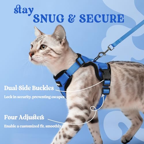 Image of rabbitgoo Cat Harness and Leash Set, Escape Proof Vest, Navy Blue | Soft Breathable Mesh, Easy Adjustable Fit, Snap Buckles, Sturdy Clip, Reflective Strips, for Average Cats Walks, S