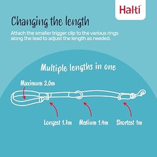 HALTI - Guinzaglio da addestramento Guinzaglio multifunzionale a doppia clip, ottimo per l’addestramento anti-trazione, comodo da tenere in mano, ottimo per cuccioli e cani piccoli (Taglia S, Nero)