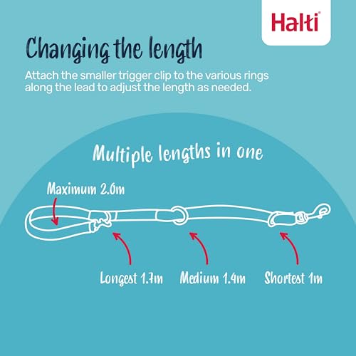 Company of Animals Halti Dog Training Lead-Red-L - 2