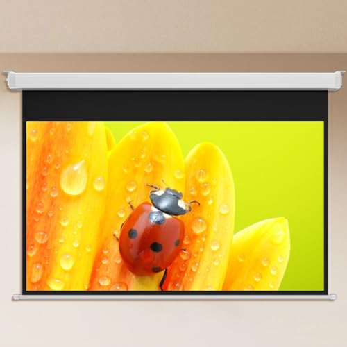 Pantalla de Proyección Manual HD 60" 72" 4:3 16:9