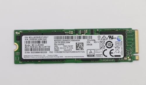 Lenovo Mémoire SSD 256 Go M.2 PCIe3x4 disque interne NVMe haute vitesse