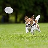 2 Stück Faltbare Reisenäpfe,Haustier Hundenapf mit Deckel und Haken Tragbare Silikon Trinkschale für Katzen,Hunde Reise Wanderungen and Camping (kühl grau und violett, klein)