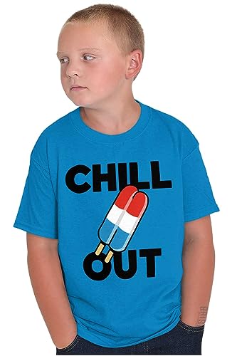 Brisco Brands Retro Chill Out Food Pun Popsicle Crewneck T Shirts Boy Girl4