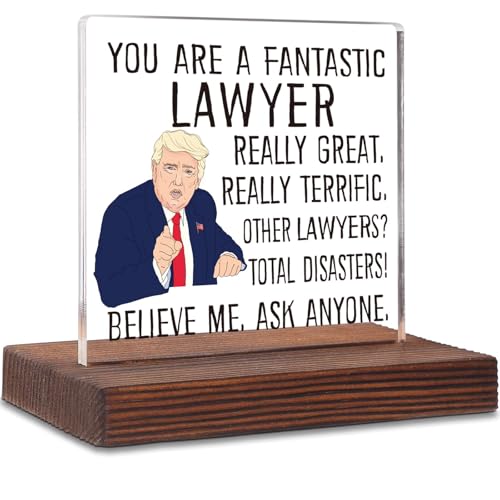 Funny Lawyer Gifts, Lawyer Gifts for Women, Men, Student, Funny Lawyer Appreciation Thank You Week Birthday Day Gifts Desk Decorative Signs Plaques ABC30