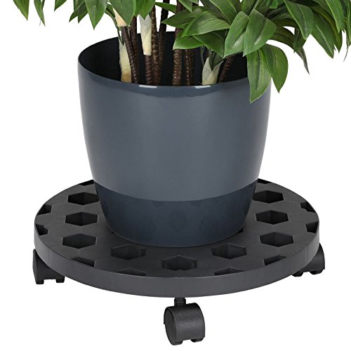 Alpfa CARRITO DE PLANTAS 35cm Ruedas Para Macetas de flores Posavasos ruedas de cubo Monopatín transporte