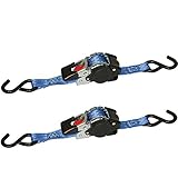 Kerbl 2 Stück Automatik Zurrgurte 25 mm x 3 m, Blau, für...
