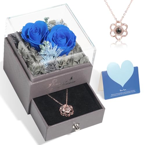 Preserved Rose Forever Flowers as Gifts for Women Mom Her Grandma Friend Sister Girlfriend Wife, Valentines Day Galentines Birthday Anniversary House Warming Gifts, Rose Flowers Gift with Necklaces