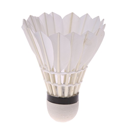 Vktech Dark Night 4 PCS Colorful LED Badmintons Shuttlecocks