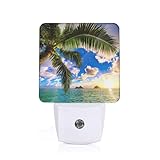 Économisez de l'électricité : cette magnifique veilleuse murale au lever de soleil bénéficie de la technologie LED et ne nécessite pas de remplacement d'ampoule. Durée de vie jusqu'à 100 000 heures. Facile à utiliser. Elle peut être utilisée dans les chambres ou d'autres endroits nécessitant une faible luminosité. Peut répondre à vos différents besoins et économiser de l'électricité.