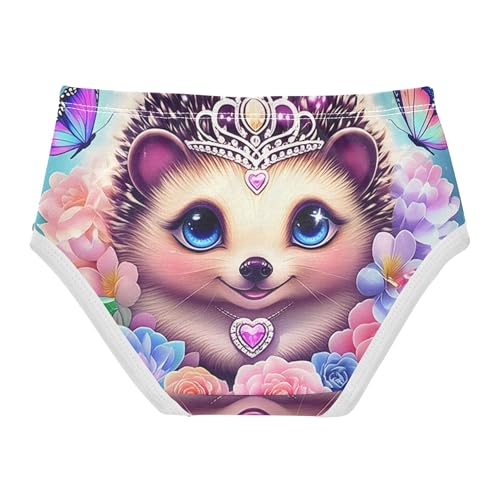 Toddlers Underwear Floral 2t Cotton Panties for Girl Cartoon Briefs Underpants Cute Hedgehog Blue Floral2