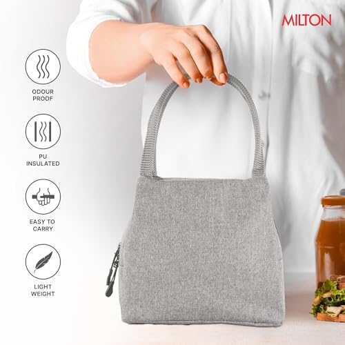 Image of MILTON Fancy Lunch Bag I Design Tiffin Bag for Office for Men, Women I Eco Friendly, Spacious, Durable I 2.44 L I Grey