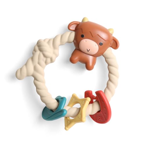 Itzy Ritzy Silicone Teether with Rattle; Rattle Teether Features ...