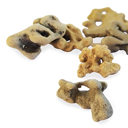 Galilee Gifts Natural Hag Stone from The Mediterranean Each Unique with Natural Hole, Healing Spiritual Hag Stone, Pendant, Holey, Magical, Adder Stone Witch Stone Fairies Stone Odin Stone