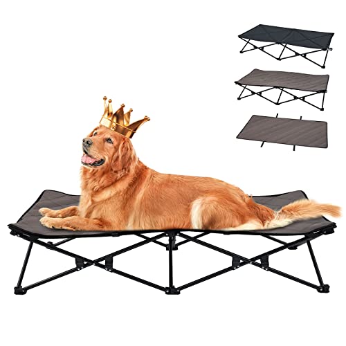 The Best Elevated Dog Bed (For Every Use)