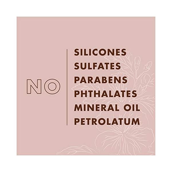 SheaMoisture Shampoo Curl and Shine for Curly Hair Coconut and Hibiscus Paraben Free Shampoo 13 oz