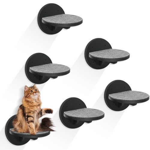 �L �ǒI �Ƌ� 6�Z�b�g �ؐ��L�p�X�e�b�v �X�N���b�`�p�b�h�t�� ���ȃt���[�e�B���O�N���C�}�[�͂����K�i �L �N���C�~���O�E�H�[���V�X�e�� �L ���� �o��V�� (�u���b�N)