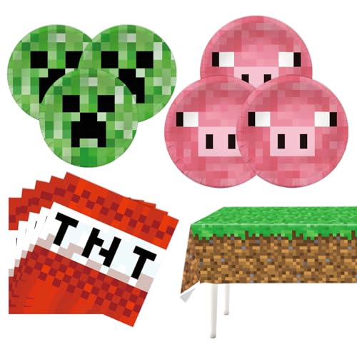 Pixel Birthday Party Supplies 20 Plates 20 Napkins and 1 Tablecover for Pixel Party Decorations