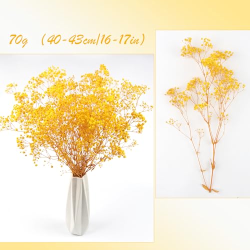 Dried Baby's Breath Flowers Bouquet Natural Dried Flowers Baby's Breath Real Gypsophila Branches for Wedding Table Vase Party Garden DIY Wreath Floral Home Decor(Yellow) - Image 2