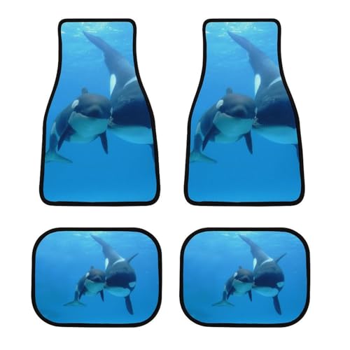 J[}bg 킢 V` Cm  tA}bg  ԗptA}bg 4_Zbg y/ʎ O2E2 h~ ~ ېOK tȒP J[pi lGʗp