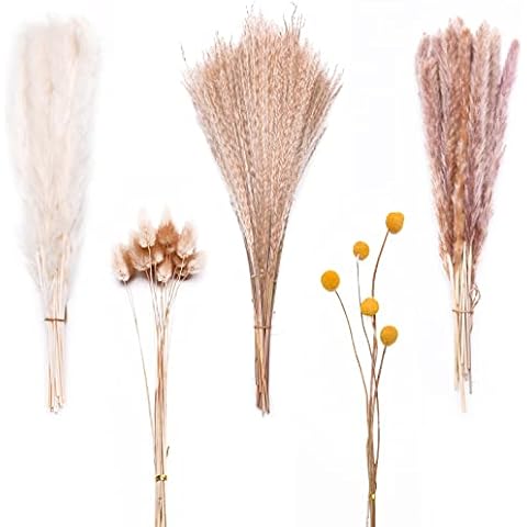 Pampasgras, KULVGDA 100 Stück Natürliche Getrocknete Flauschige Pampasgras, 5 Getrocknete Blumen Natürliche Pampasgras Pflanze, Schilf, Kaninchenschwänze für Boho Home Deko Hochzeit Dusche Party Cover