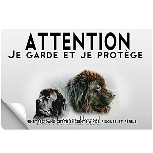 Plaque Murale "Je Te Surveillerai" Terre-Neuve - Métal 20x30 Cm, Design Humoristique - Décoration Maison, Café, Cadeau Chien