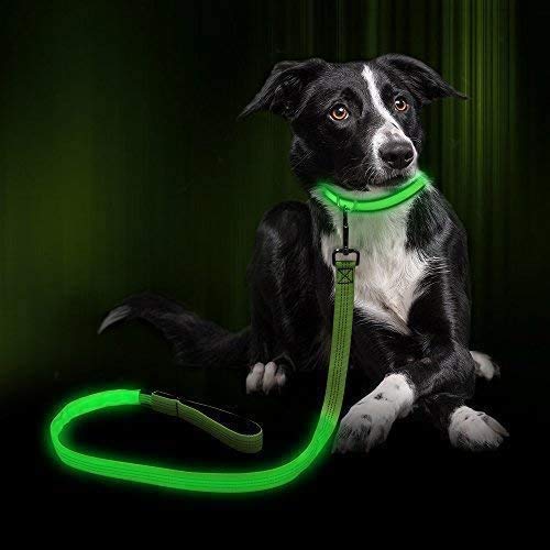 JIKKO Neues Komplettpaket LED-Leine und Halsband für Hunde - Lange Akkulaufzeit und Aufladung über USB-Kabel - 3 Beleuchtungsmodi - wasserdichte und widerstandsfähige Materialien - Grün M Cover